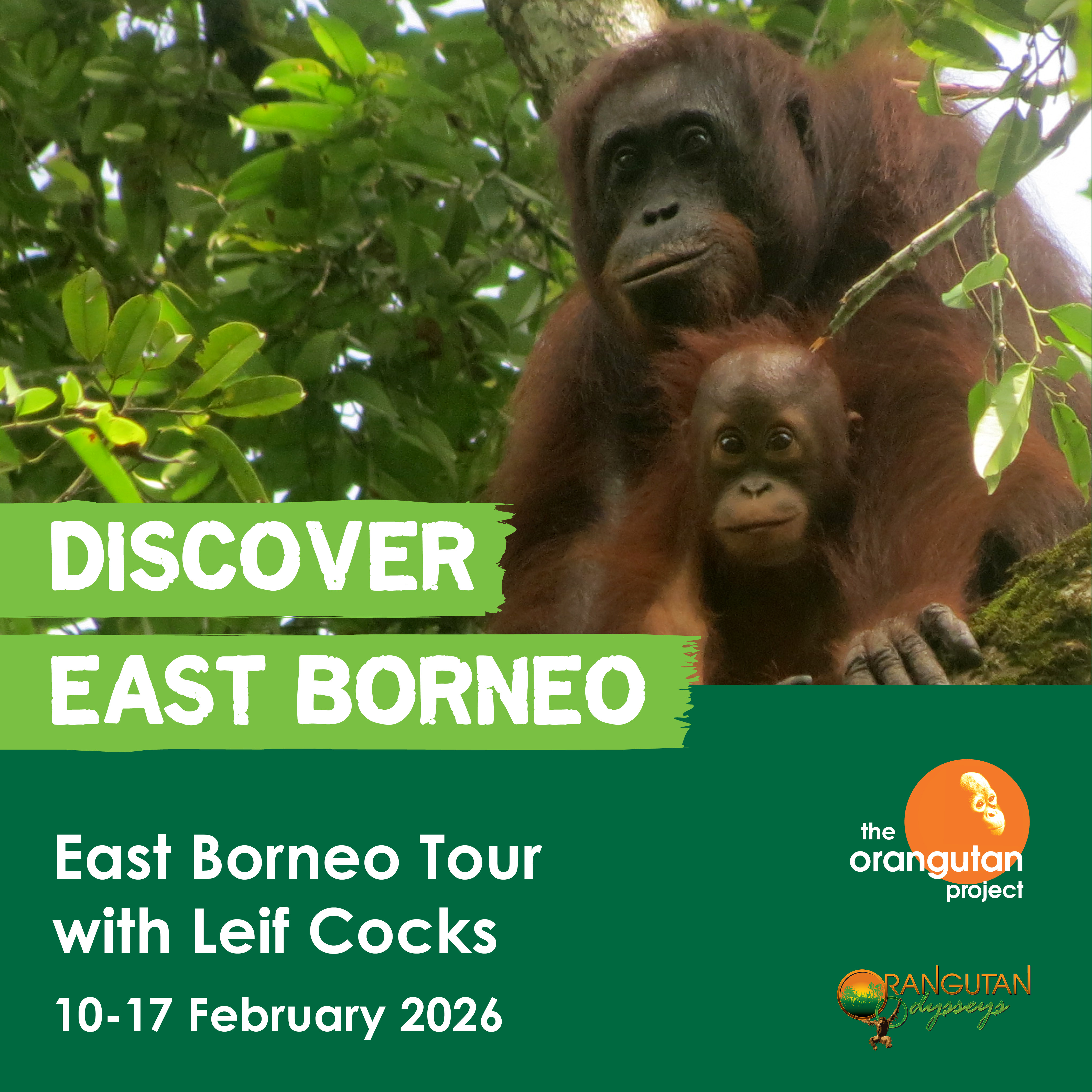 EAST BORNEO TOUR | 10-17 FEBRUARY 2026