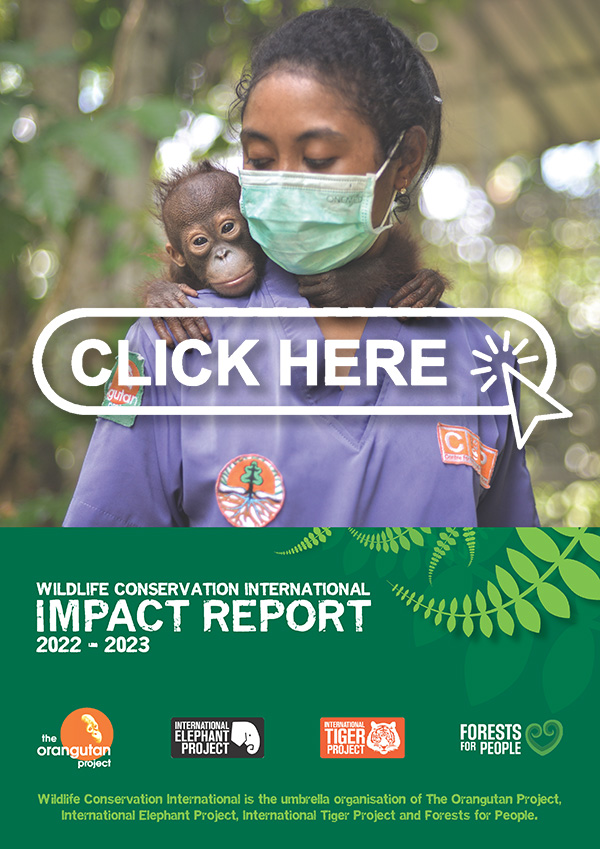 Download our Impact Report